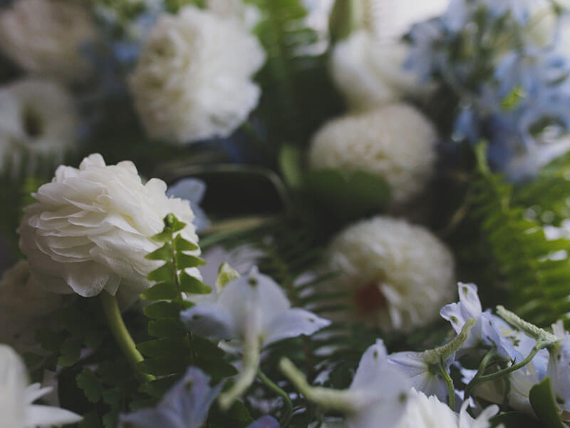 View More: http://suzijacobs.pass.us/shaynekenny